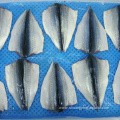 Frozen Mackerel Flaps Oem Size 150-200 200-300g